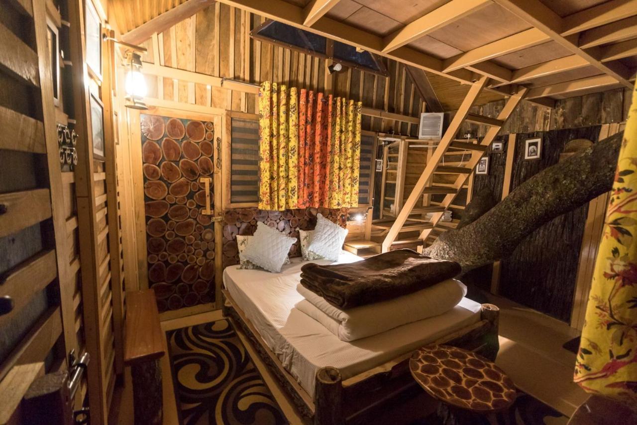 Tiger Fall Eco Resort Chakrata Exteriér fotografie